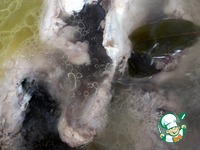 ���� ������������ �� ������� ����� �����������