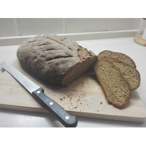 ���� ���������