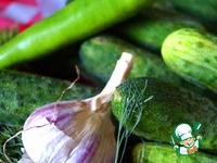 ����������� � ������������ ������ "���-����" �����������