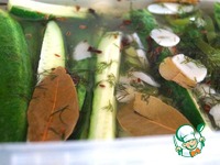 ����������� � ������������ ������ "���-����" �����������