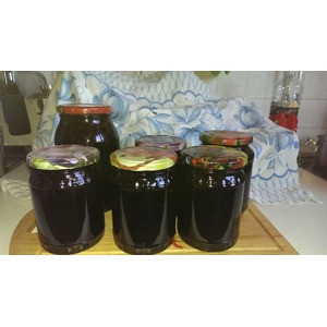 ��������� ������� �� ��������� "�����������"