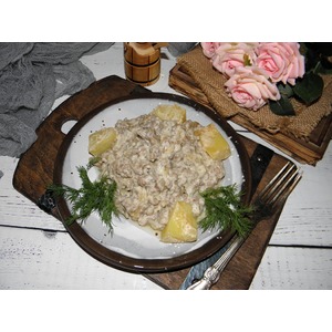 ������ �������