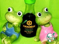 ���������-������� ������-������� �����������