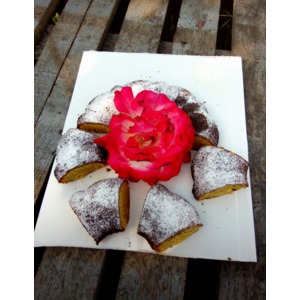 ���� "������������ ���"