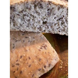 ����� ������� ����