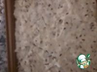 ����� ������� ���� �����������