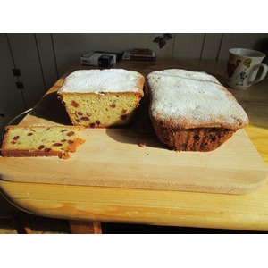 ���� "���������" �� �����