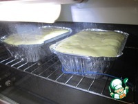 ���� "���������" �� ����� �����������