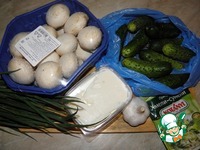 ������ � �������, �������� � ������� �����������