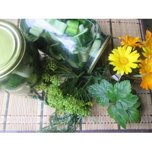 ������������ ������ ��� ���������