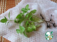 ������������ ������� ����������� ������������� �����������