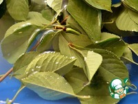 �������� ����� ������� � ������� ����� �����������