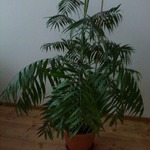 ��� ������� � ������� ���������. ����� 9. � ��������� ���������