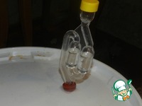 ��������� �������� "��������" �����������