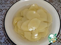 ������������ ��������-������� �����������