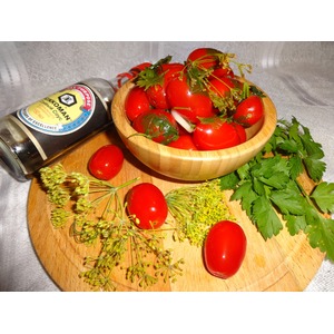 ����������� �������� ����� "�������� ��������"