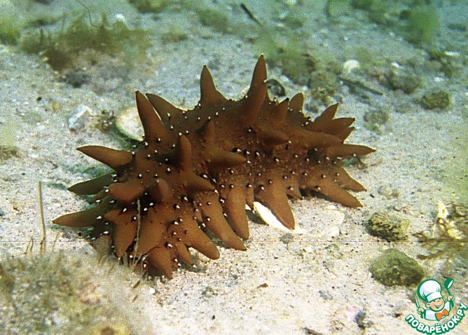 �����, ����������� �� ������