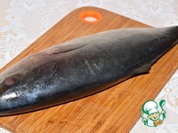 ������ �������� � ����������� �����������