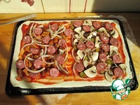 ����� ������������ �����������