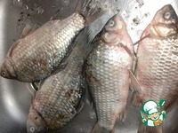 ������ ������� �� ������� "������" �����������