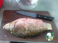 �������� �� ������ �����������