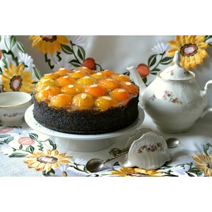 ������� ���� � ����������