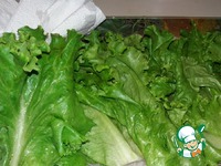 ����� � �����, �������� � ����� �����������