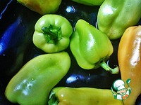 ���� ����������� ������� �����������