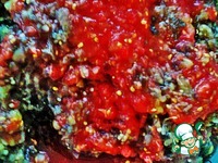 ���� ����������� ������� �����������