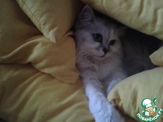 �������.