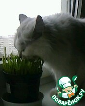 �������.