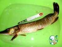 ������ ���-���� � ������� �����������