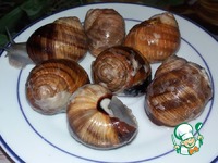 ������ � �������� ����� �����������