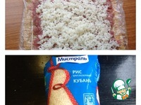 ������ ����� �� ����� "�����������" �����������