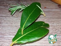 ������ � �������� ����� �����������