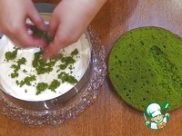 ���� "������ ���" �����������