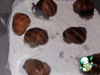 ������ � �������� ����� �����������