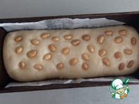 ���� "�����������" �����������