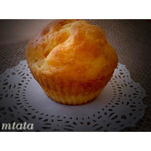 ������� � ��������