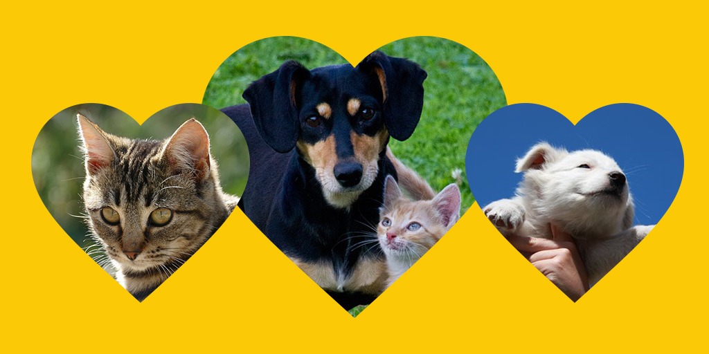 ������� ������ ������������, ��� ��������