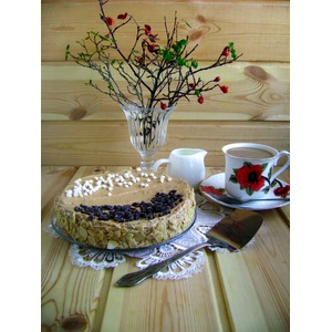 ���� �� ����� ������ �������������