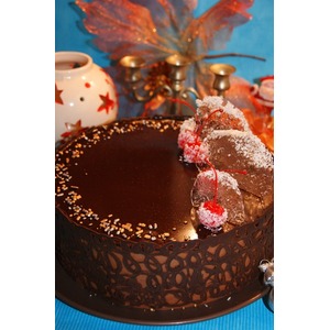 ���� "����"