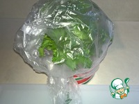 ��� ��������� ������ ������