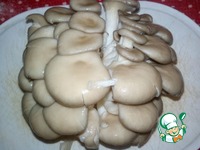 ������� ������-���� � ������� �����������