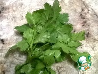 ������ ��������-������� ��� � ���������� �����������