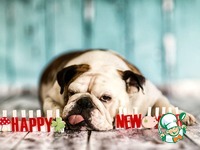 ����� "��� ������" �����������