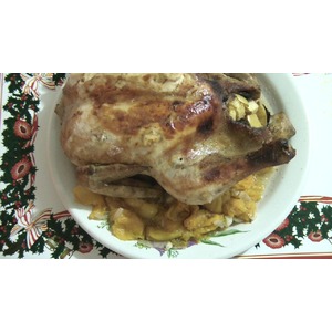 ������������� ������ �� ��������� �������