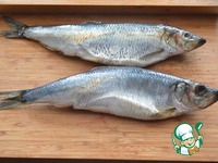 �������� � ������� � ��������� �����������