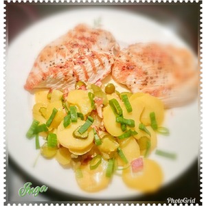 �������� ������������ ����� "�������� ��������"