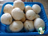 ���������� "����������" �����������